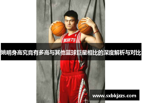 姚明身高究竟有多高与其他篮球巨星相比的深度解析与对比