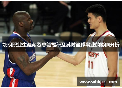 姚明职业生涯薪资总额揭秘及其对篮球事业的影响分析